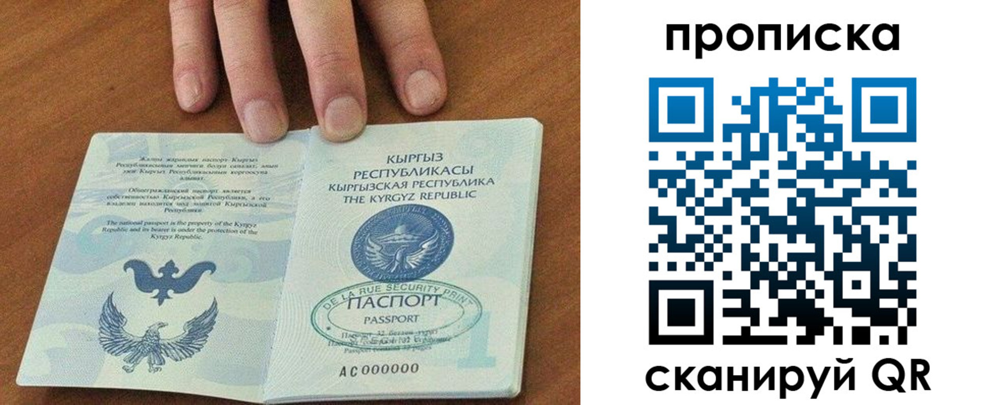 прописка гарантия в Кохме